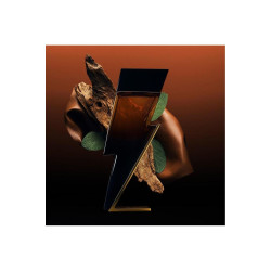 Carolina Herrera Bad Boy Elixir Edp 100 ml
