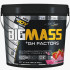 Bigjoy Sports Big Mass +GH Factors 5000 Gr Çilek
