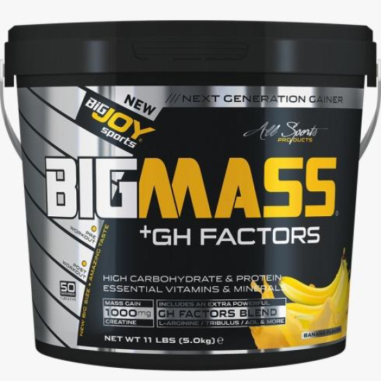 Bigjoy Sports Big Mass +GH Factors 5000 Gr Muz
