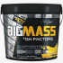 Bigjoy Sports Big Mass +GH Factors 5000 Gr Muz