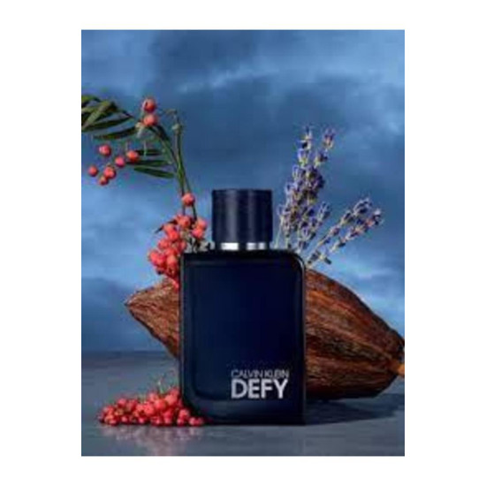 Calvin Klein Defy Men Parfüm 100 ml