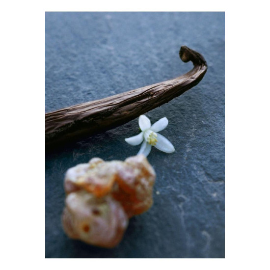 Chloe Nomade Nuit Degypte Edp 75 ml Kadın Parfüm