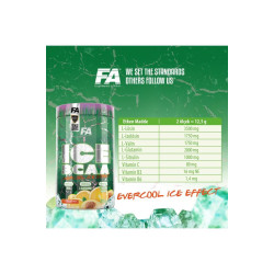 FA Nutrition Ice Bcaa 60 servis Citrus & Peach Aroması