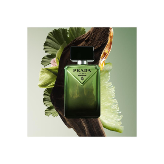 Prada Paradigme EDP 100 ml Erkek Parfümü