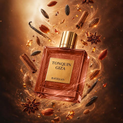 Rayhaan Tonquin Giza EDP 100 ml Erkek Parfüm