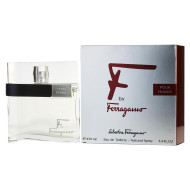 Salvatore Ferragamo F Pour Homme EDT 100 ml Erkek Parfümü